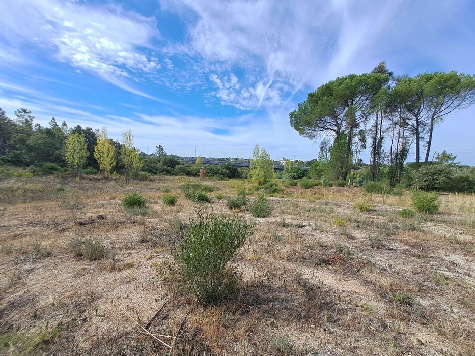 Terreno com poço na Albufeira do Carril
