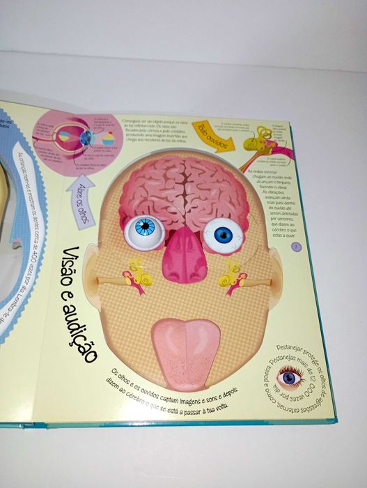 Dentro do Corpo Humano64741109977602122