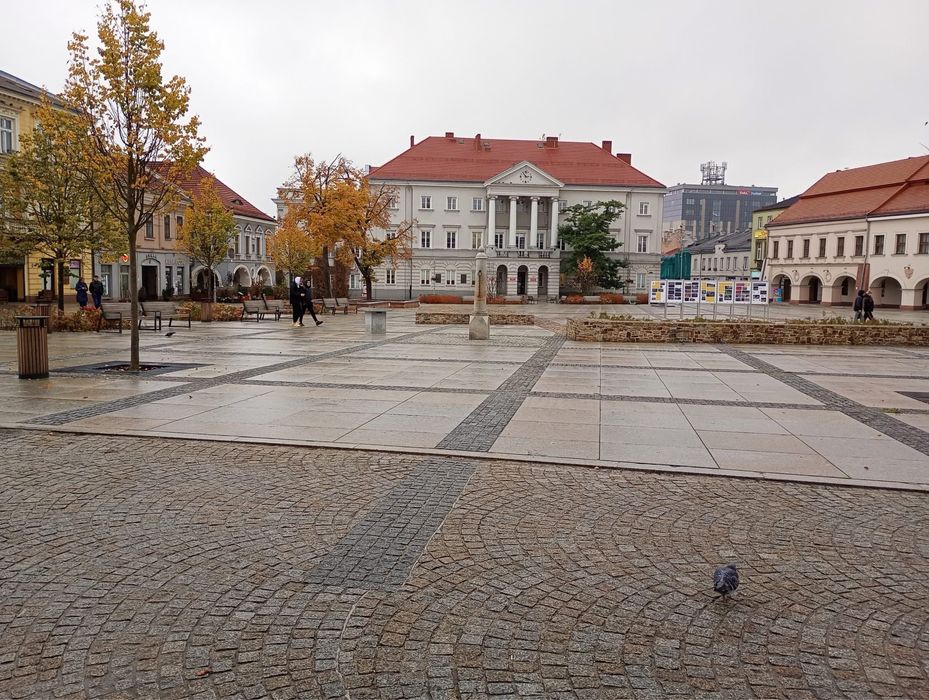 Rynek 3 Pokoje 80m2 Wynajme Mieszkanie Centrum