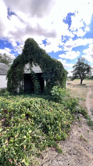Продам земельну ділянку с. Єгорівка