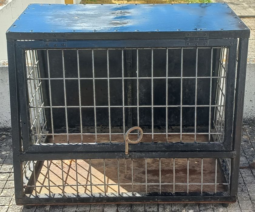 Caixa para transporte de cães