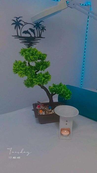 Massagem e estética