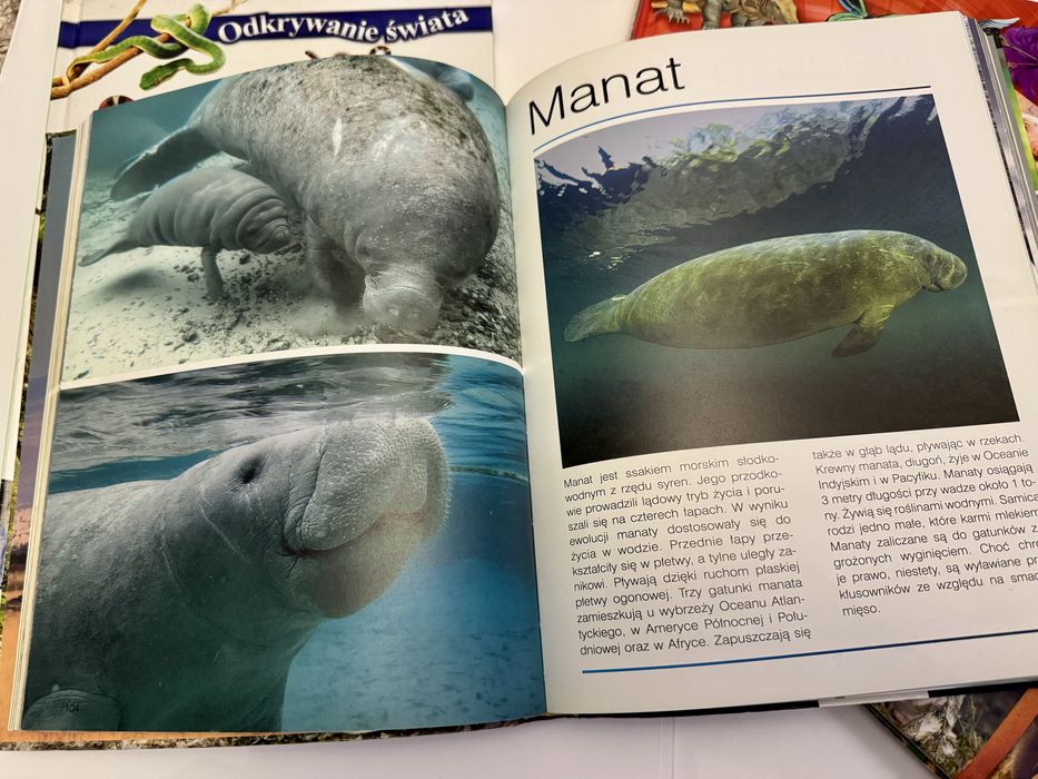 Książki o zwierzętach Albumy edukacyjne