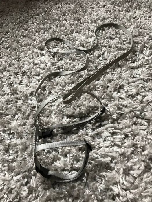 Повідок для кота