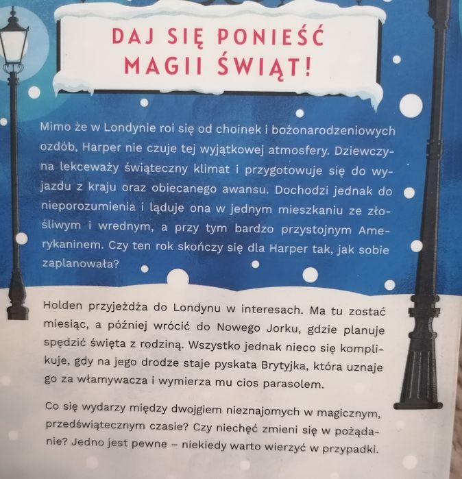 Świąteczne nieporozumienie - K. Bester