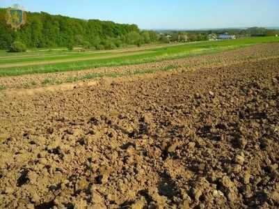 Під фермерське господарство! Земля 10,37 га в с. Гуляйполе