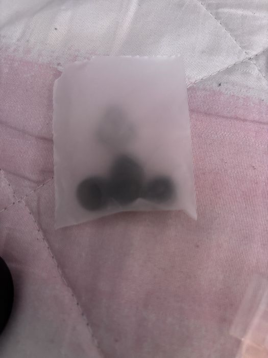 Mi true wireless earbuds basic 2