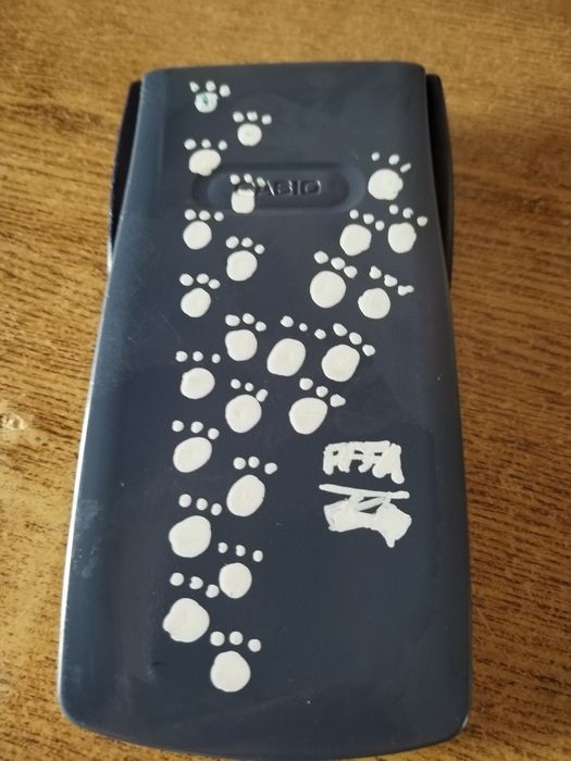 Calculadora marca Casio