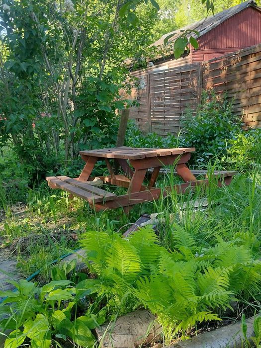 Działka ROD na Ochocie 372 m² - Widok 2