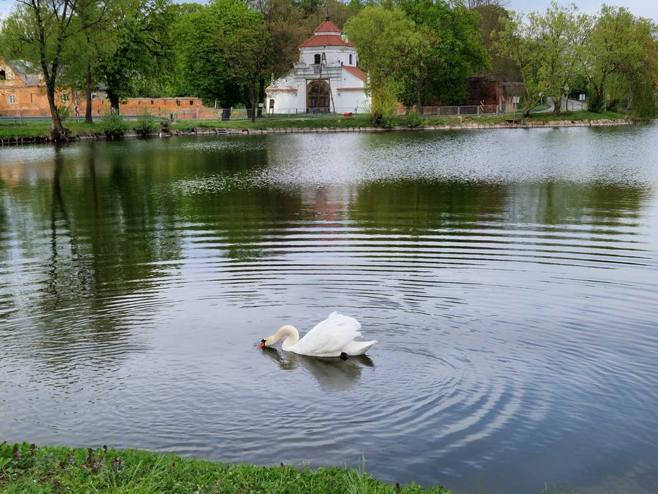 "Rozmowa ze sobą" Marta Świć  tomik wierszy  poleca się na lato