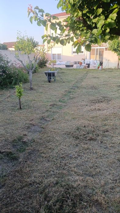 Limpeza de terrenos/Manutenção dos mesmo e serviços de Construção civil