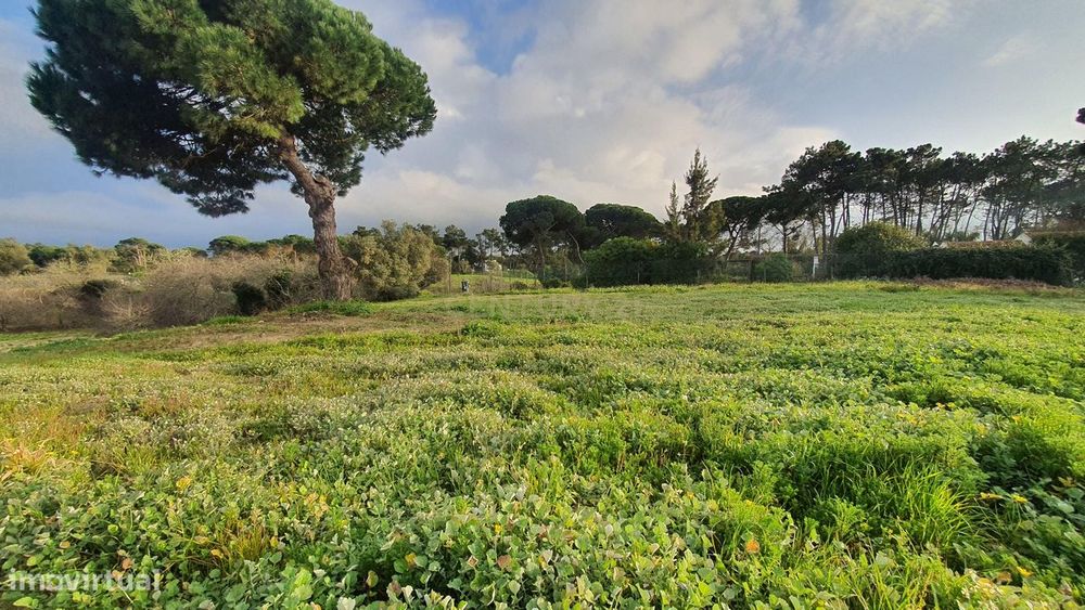 Terreno no meco para apoio agricola ou empreendimento turistico.