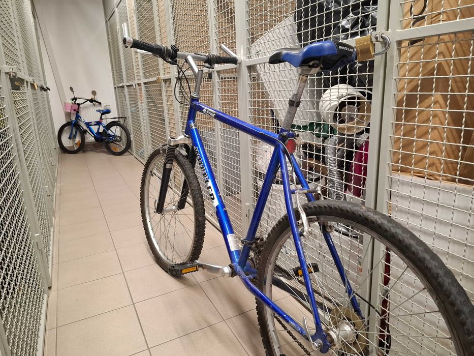 Wheeler rower górski