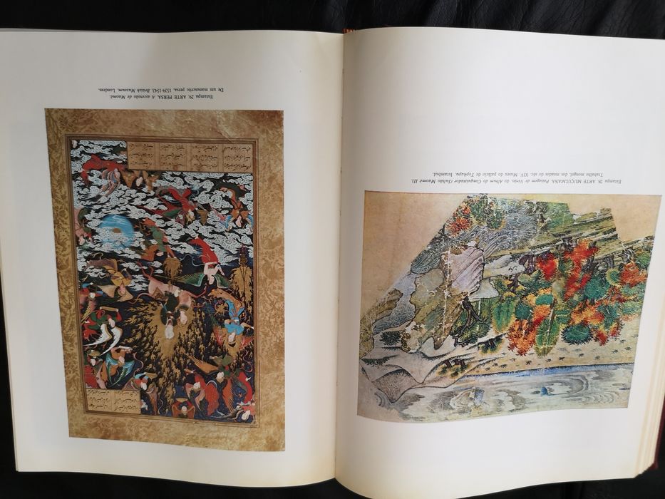 Vendo livro antigo da História da Arte