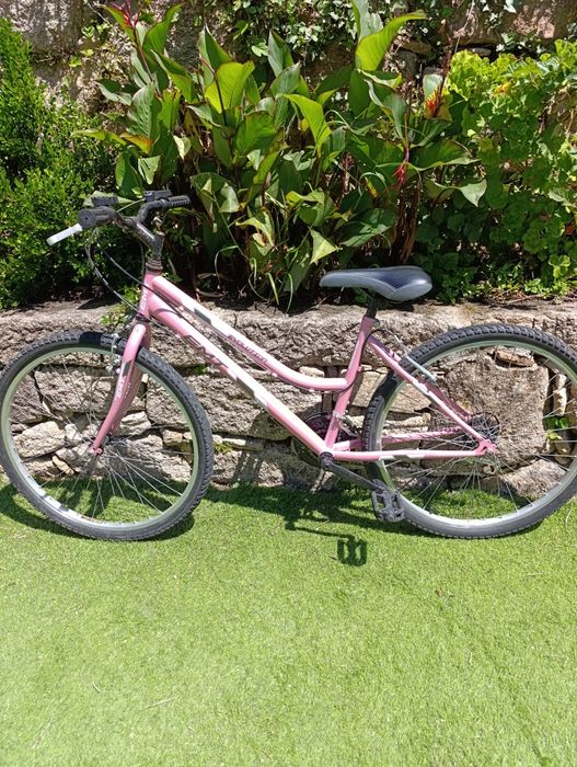 Bicicleta quadro baixo