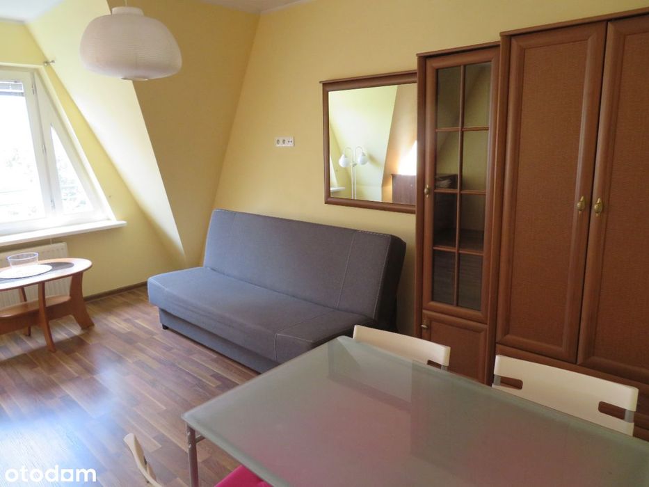Mieszkanie 1-pokojowe w Poznaniu, 33 m²