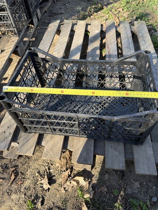 Skrzynki plastikowe owoce warzywa ślimaki