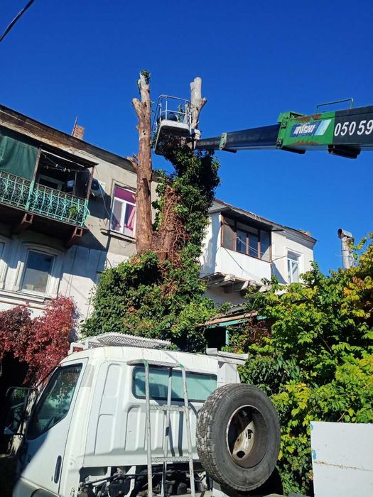 ВЫВОЗ МУСОРА, Заказ контейнера Уборка территории, Спил, Покос ...