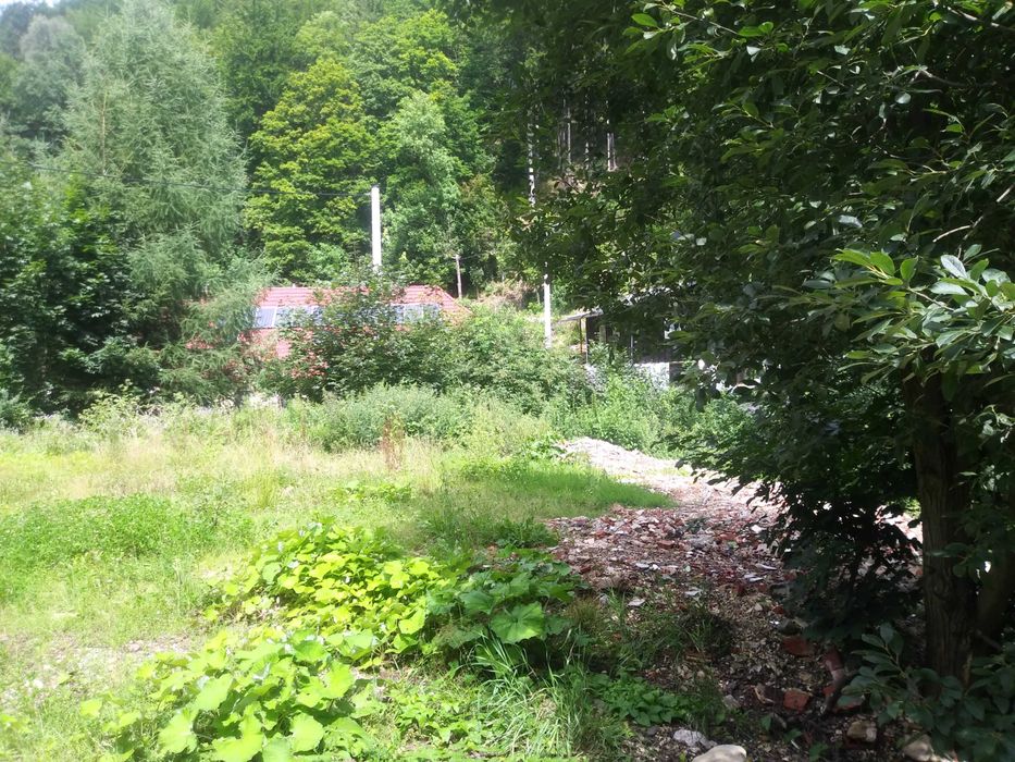 Działka Rolno-Budowlana z WZ w Malowniczej Grzmiącej! - Widok 3