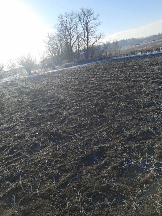 продаж земельної ділянки сільськогосподарського призначення