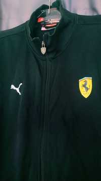 Puma ferrari 2015 cheap