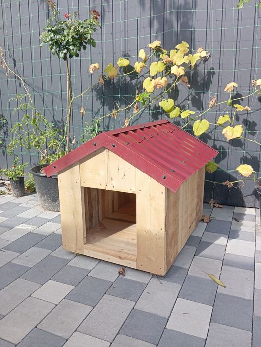 Буда для собаки. Тернопіль.