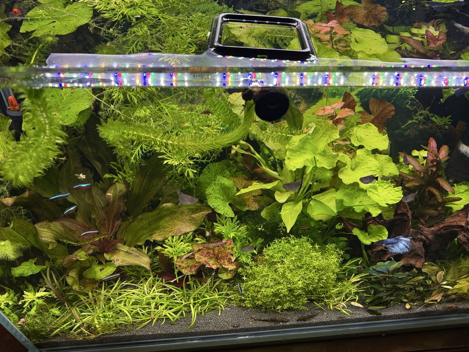 Продам акваріум 160 літрів