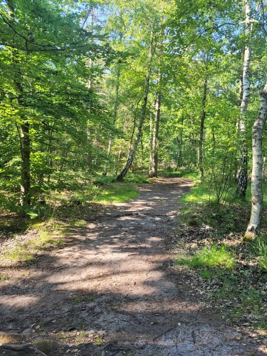 Domek nad morzem