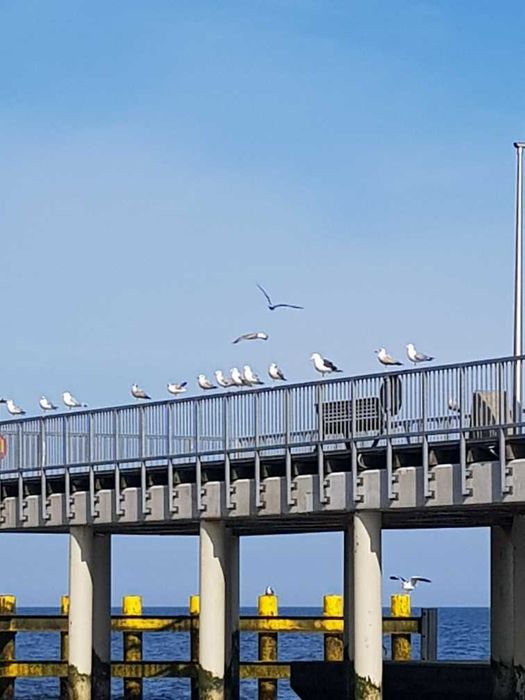 domek na widokowej 33