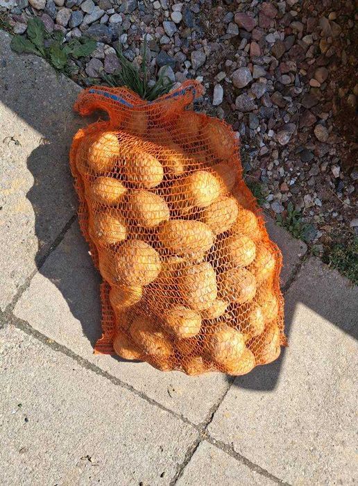 Ziemniaki ekologiczne