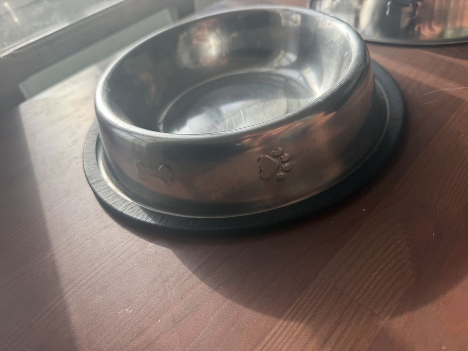 comedore para cão/gato