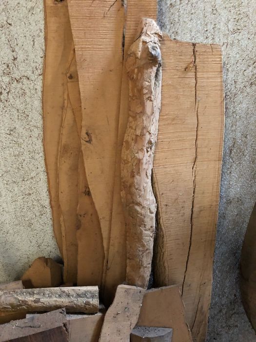 Madeira maciça de buxo