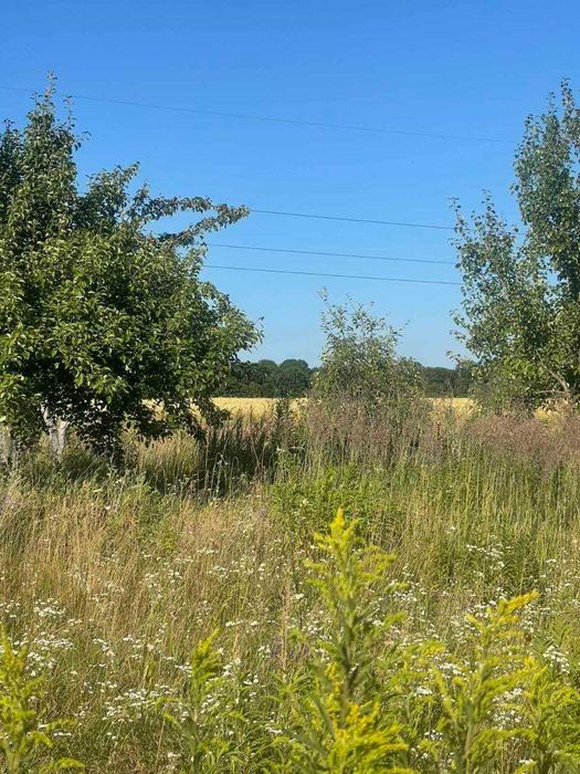 Продам земельну ділянку с.Порозове (0.15 га)