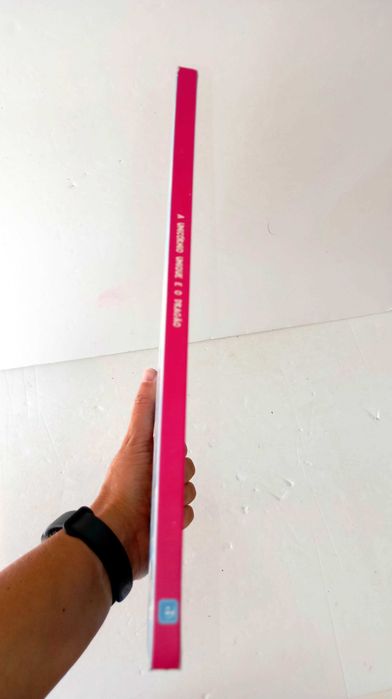 O Unicórnio Unique e o Dragão