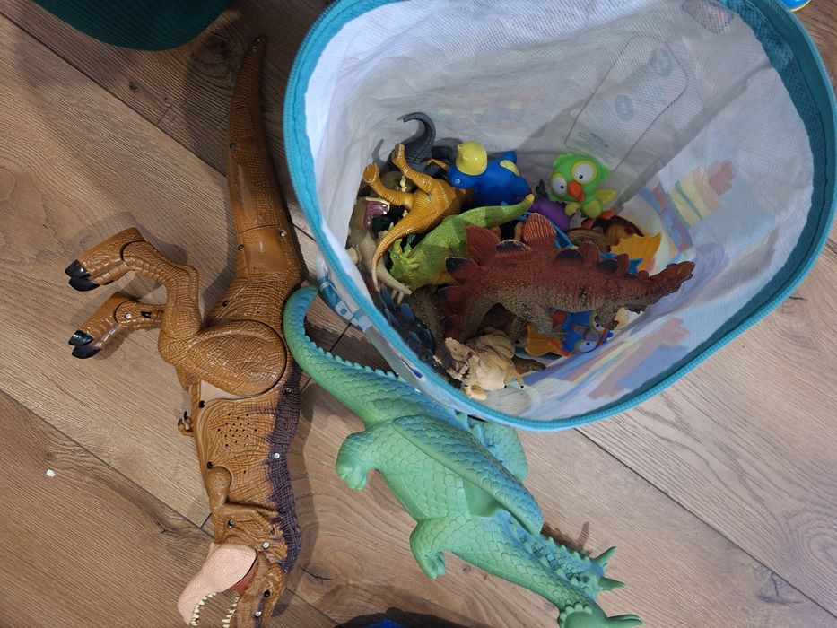 Zestaw dla fana dinozaurów