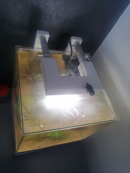 Akwarium kostka z lampa