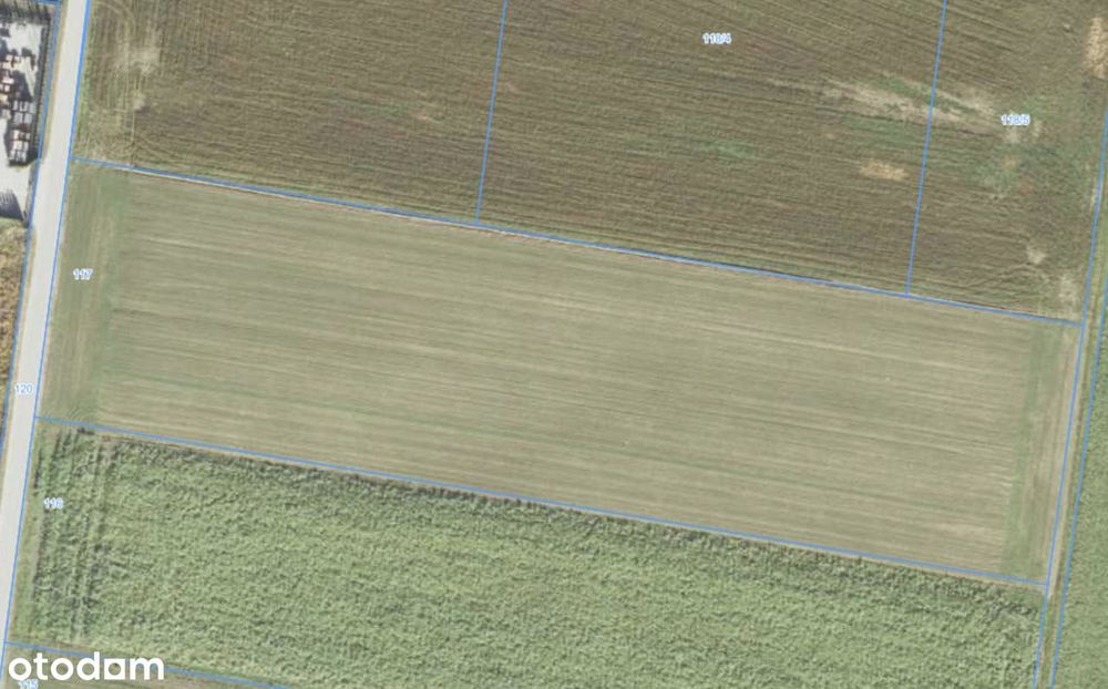 Turkowy |  Kępno | Syców | 12 500 m² | blisko S8 | pod inwestycję