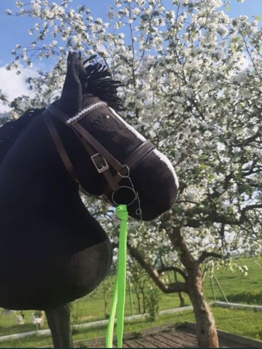 Wykonam hobby horse na zamówienie