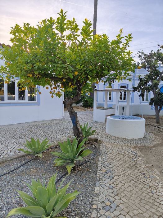 Manutenção de jardins e limpezas de terrenos