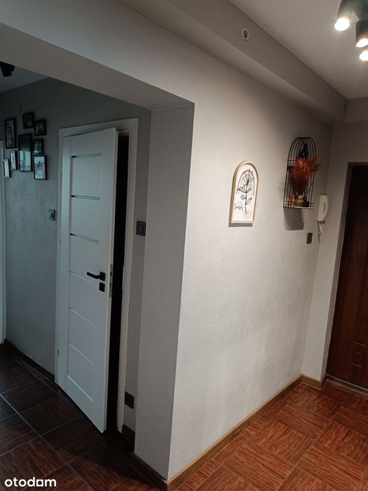 3 pokoje |Po remoncie |Meble w zabudowie | Zgorzelec – Os. Centralne
