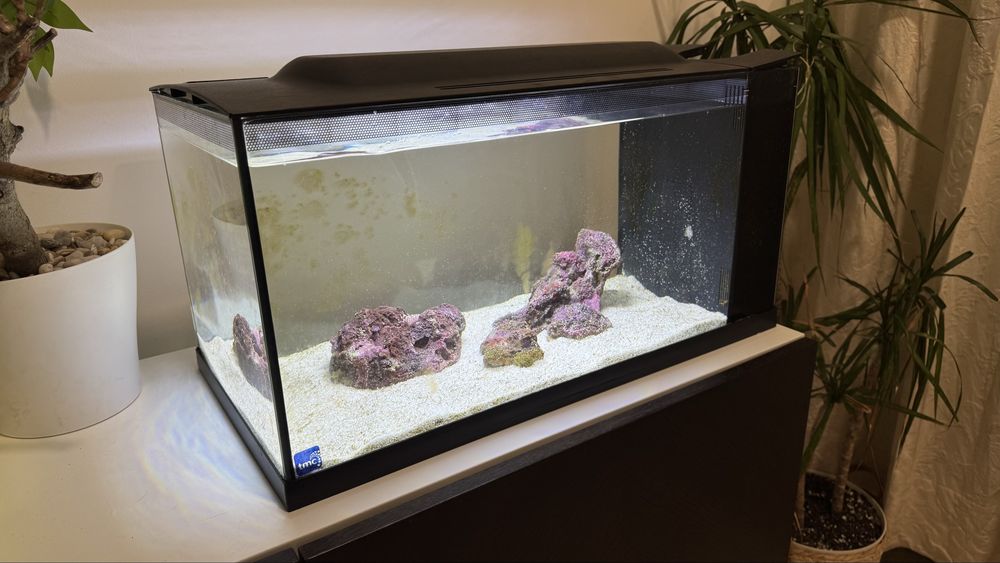 Aquario Marinho Completo 50L
