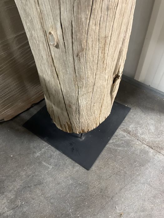 Tronco decorativo do mercadores de memorias