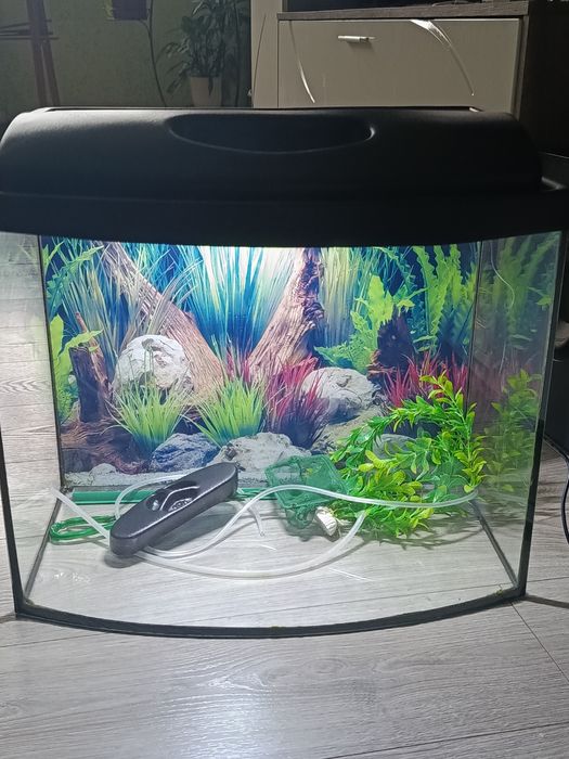 Аквариум 55 л укомплектован