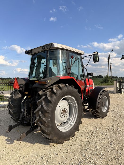 Ciągnik rolniczy Massey Ferguson 6130 świezo sprowadzony