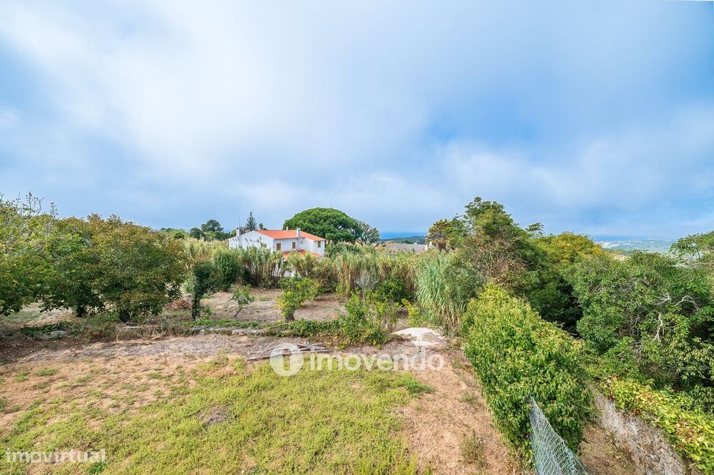 Quinta isolada T3+1 com áreas amplas e terreno de 2022m², em Colares
