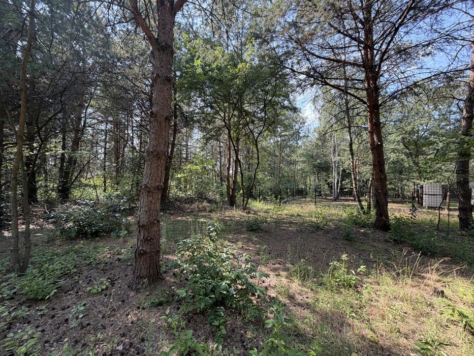 2 działki j. Białka parczerwska, zagłębocze