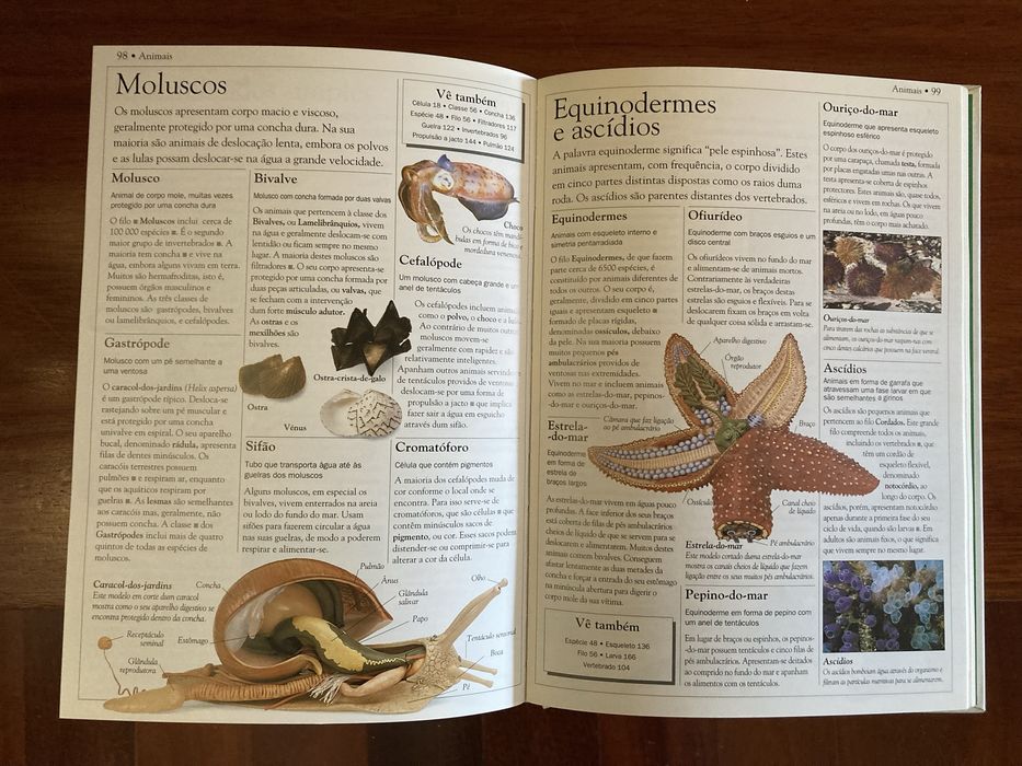 Dicionário escolar da natureza64729526319875121