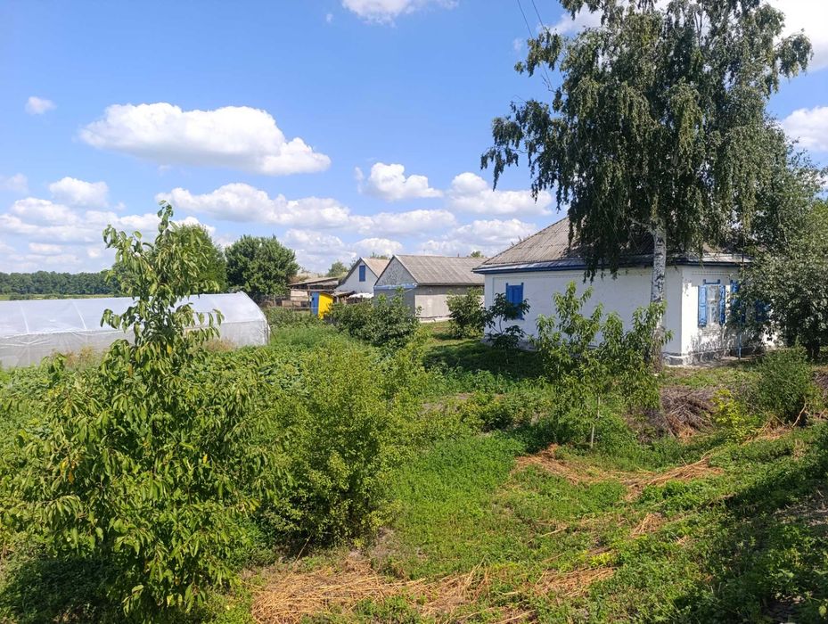 Продаж будинку в с.Ковтуни,Золотоніського  району.