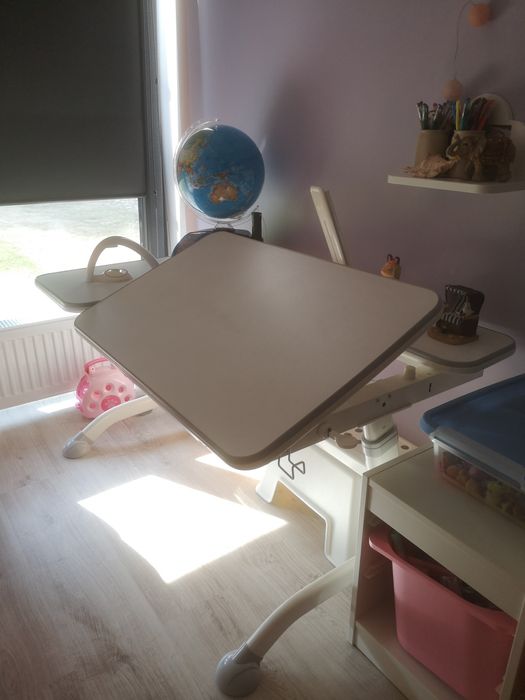 Regulowane biurko dla dziecka Fun Desk Amare Grey