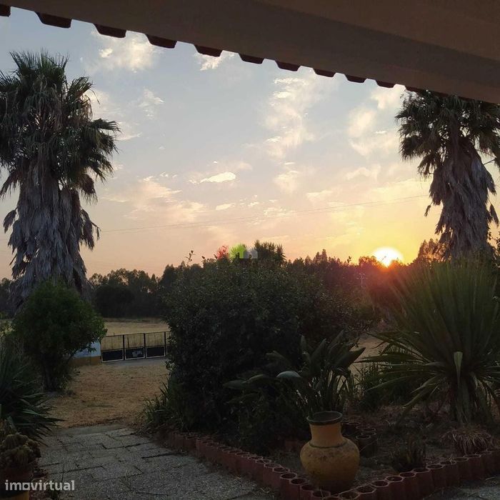 Quinta Encantadora em Foros de Vale de Figueira, Alentejo